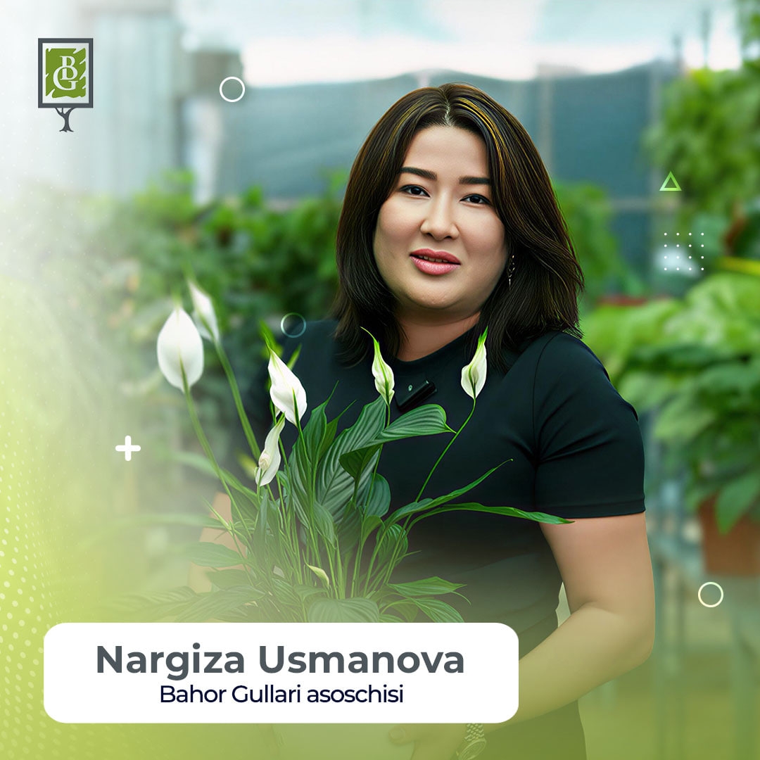 Nargiza Usmonova bilan konsultativ uchrashuv product image