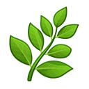 course icon