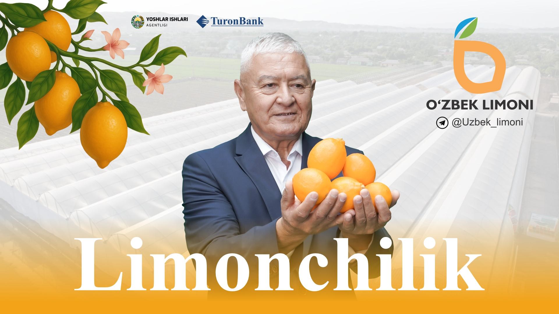 Bepul, sifatli Limonchilik  kursi - Ustoz ai. Ustoz Nuritdin Fahrutdinov