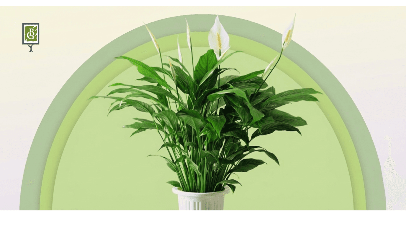 ustoz ai banner Bahor Gullari